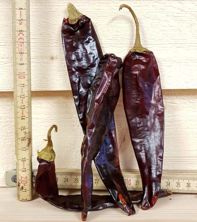 Guajillo chili 50 gram - torkad chilifrukt med toner av tranbär Guajillo är gjord på en chilisort vid namn Mirasol vilken fått torka. Skalet är tunt, blankt och smidigt som ett bättre skinn. Många anser att Guajillo är den jämte Ancho chili mest användbara torkade chilisorten. Den är enligt medelsvensson ganska het när det gäller styrkan (upp till 5000 Scoville). Smaken är delvis söt men också på gränsen till lite syrlig, tranbär är en bra liknelse (jämför då med Ancho som mer påminner om söta russin eller korinter). Koka den i vatten tillsammans med Ancho, Pasilla och kanske en buljongtärning och lite muscvado socker, och låt den puttra en kvart. Mixa därefter med stavmixer och du har grunden för en Beef chili Taco gryta eller en BBQ - sås Nettovikt 100 gram (oftast 14 stora chilifrukter)